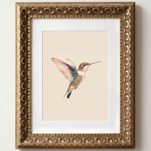 Wemandh Vintage Gold Framed Wall Art, Hummingbird Canvas Prints , Living Room Bedroom Wall Art Decor, Ornate Antique Style Picture Frame, Victorian Botanical Bird Illustration painting (Framed, 8" x 10")