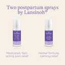 Lansinoh Herbal Perineal Spray, Postpartum Essentials, 3.5 Ounces