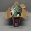 Electric Throw Blanket Heated Throw 50''x60''- Wheat Pattern Flannel & Sherpa Heated Lap Blanket with 5 Heat Settings & 4-Hour Auto Shut-Off, ETL & FCC Certified, Machine Washable Home Use, Green