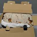 blunique Heated Blanket Throw Blanket - Fast Heating Electric Blanket, Soft Flannel Heated Throw with 4 Time Settings, 10 Heating Settings, Warm Gifts for Women & Mom&Grandma(50"x60"Cow Print Apricot)