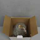 Candle Warmer Lamp with Timer and Dimmable, Electric Wax Melt Candle Warmers Height Adjustable with 2 Bulbs, Birthday Gifts for Women House Warming, Home Decor for Scented Jar Candles(Clear) (Transparent)