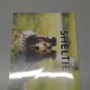 Sheltie Calendar 2025 Shetland Sheepdogs Monthly Wall Calender 12 Month | American Made In The USA