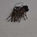 Hiboom Halloween Skeleton Skull Lighted Holiday Displays, 20 LEDs 8 Modes Waterproof Battery Operated Lighted Holiday Displays Spooky Decorations for Indoor Outdoor (Purple)