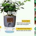 6/4.1/3.2 Inch Self Watering Planter Pots, 5 Pack African Violet Pots for Indoor Outdoor Windowsill Gardens, Self Aerating, High Drainage, Deep Reservoir(Gray)