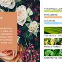 S3XYWORLD Tesla Model 3/Y Air Freshener-Invisible Slim Design-Long Lasting-Aromatherapy Scent-Auto Odor Eliminator (Flourish Flowers Set) Dark Gray