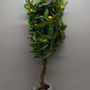 Artificial Orange Tree 4ft Fake Fruits Plant in Pot Large Fake Floor Plants Faux Trees Indoor Orange Decorations for Home Living Room Office