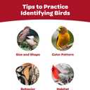 Kaytee Nyjer Wild Bird Food Seed, 5 Pound