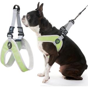 Gooby Simple Step in III Harness - Green, X-Small - Small Dog Harness with Scratch Resistant Outer Vest - Soft Inner Mesh Harness for Small, Medium Dogs (X-Small chest (1214.75"))