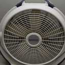 Lasko Wind Machine Fan, Air Circulator Fan with 3 Speeds, 20" Model 3300, Gray