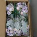 Olgaa 12 Bundles Peonies Artificial Flowers Fake Peony Bouquet Faux Peonies Flowers Bulk with Stems Flower Balls for Centerpiece Table Decorations Wedding Bridal Floral Arrangement (Purple)