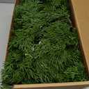 6FT PARTY JOY Seasonal Artificial Christmas Garland with LED String Lights Pine Needle Cypress Garland for Holiday Winter Indoor Outdoor Decor