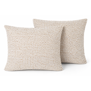 2 Pack Beige Pillow Case Covers