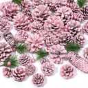 Whaline 170Pcs Christmas Pink Pine Cone Berry Pine Branch Set Pinecone Pendant Pink Winter Ornament for DIY Craft Home Decor Xmas Tree Gift Tag Party Supplies, Assorted Sizes