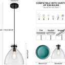 WILON 9.8'' Clear Glass Modern Pendant Lights Kitchen Island Light, Black