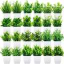 Tigeen 24 Pots Small Fake Plants Mini Eucalyptus Potted Artificial Plants Greenery Eucalyptus Rosemary Gladiolus Magnolia Aloe Faux Plants for Home Indoor Room Decor (Stylish Style)
