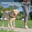 PetSafe Easy Walk Harness for Dogs - Pull-Free Walks - Patented Martingale Loop Design - Front Chest Leash Attachment - Comfort Straps - Breathable Harness Design - Petite/Small, Black/Silver