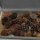 40 PCS Rustic Pine Cone Decorations - Large, Medium and Mini Sizes for Table, Tree and Home Decor