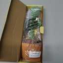 MILEGI Dancing Talking Cactus Toy, Baby Singing Recording Mimicking Cactus Toy, Repeats What You Say, Musical Interactive Infant Toddler Toys for 1 Year Old Boys Girls