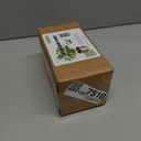 304 Mini Accent Planter (2 Pack) - Pots for Succulents, Cactus, and Small Plants - 3.25 inch diameter Includes bottom watering and saucer. Indoor or Outdoor. Corrosion Resistant.