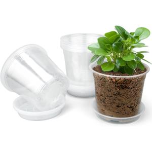 3 Inch Clear Nursery Pots with Drainage Trays, 15 Pack Plastic Pots for Plants, Clear Pot for Seed Starting, Transplanting, Succulents, and Indoor Gardening (3 inch)