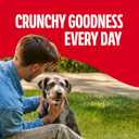 Milk-Bone Original Dog Treats Biscuits for Medium Dogs, 10 Pound