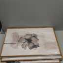 ANHUIB Beige Neutral Floral Canvas Wall Art 16x24 Inch Framed Beige Brown Botanital Wall Decor Large Rustic Farmhouse Wildflower Artwork Vintage Plant Art Prints Set of 3 for Living Room Bedroom Office