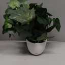 AlphaAcc 17.8 Inch Artificial Ficus Plant Potted Faux Greenery in Gray Round Vertical Striped Cement Planter with Pebbles Realistic Fake Plant for Indoor Modern Home Kitchen Living Room Office Decor