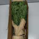 2FT Pre-lit Artificial Small Mini Christmas Tree with 50 Warm White Multi-Color LED Lights, Remote Control and Timer, Perfect for Xmas Tabletop Decorations, Home, Kitchen, Dining Table top Green