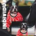 Cuban Link Dog Collar - 3/4 in Wide Metal Chain Dog Collar Venom Black, Designed Stunning Pet Accessory, Cute Luxury Jewelry Costume 20 inches