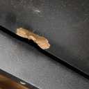 LAATOOREE Nightstand Set of 2, Small Bed Side Table with Fluted Door, End Table with Solid Wood Legs, Mid-Century Bedside Table for Bedroom Small Space (Black)