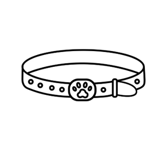 Orange Reflective Dog Collar