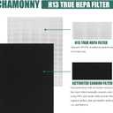 D480 True HEPA Replacement Filter D4, Compatible with Winix D480 Air Purifier, Compare to Winix D4 Filter, Item Number 1712-0100-00, 1 H13 True HEPA Filters + 4 Activated Carbon Pre-Filters