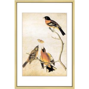 6x9 Picture Frame, Brass Aluminum Metal Photo Frames with HD Glass, Fits 5x7 with Mat or 6 x 9 without Mat, Display for Wall and Table