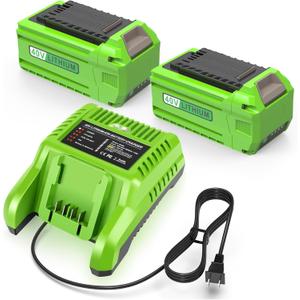 6.0Ah 29472 Replacement for Greenworks 40V Battery and Charger Compatible with Greenworks 40V Lithium-Ion Battery 29462 29252 20202 22262 25312 25322 20642 22272 27062 21242 (2Batteries+Charger)