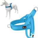Plutus Pet No Pull Dog Harness with Breathable Mesh Padded, Adjustable Reflective Escape Proof Dog Harness, Quick Fit Dog Vest Harness for Small Medium Large Dogs(S, Cyan) (S: chest 17"-19.7")