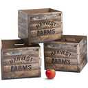 Fun Express 3D Apple Orchard Boxes Decoration, 3 Pieces