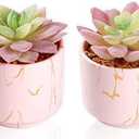 Zenmag Fake Succulents, Mini Succulents Plants Artificial in Pink Ceramic Pots for Desk Livingroom Bathroom and Home Decoration Office Decor for Women Set of 2 Artificial Succulents