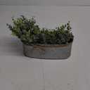 Winlyn Artificial Eucalyptus Arrangement in Rustic Oval Galvanized Metal Planter Box Faux Eucalyptus Bush Greenery Potted Plants for Farmhouse Indoor Home Office Table Centerpiece Kitchen Dcor