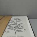 Large Framed Botanical Wall Art for Living Room, 3 Piece Neutral Plant Canvas Painting Prints Artwork for Walls, Vintage Floral illustration Pictures for Farmhouse Bedroom Kitchen Wall Decor, 20x30