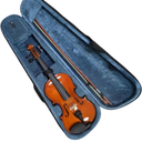 Professional Violin Set Adult Practice Violin 4/4 Size Full Pressed Solid Wood(Red,4/4)