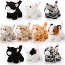 Lenwen 10 Pcs Cat Stuffed Animals Bulk Soft Cuddly Kitten Plush Sets Smitten Kittens Assorted Fluffy Stuffed Cats for Kiddos Birthday Gift Pet Party Favors Operation Christmas Stuffers(Standing Style)