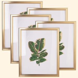 8x10 Picture Frame - Set of 5, Matte Gold 8 x 10 Photo Frame with High-Definition Glass, Modern 8x10 frame for Tabletop or Collage Wall, Perfect Christmas Frame