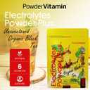PowderVitamin Electrolytes Powder Plus (100 Servings) Unsweetened Black Tea Electrolyte Powder Keto,SugarFree,Pink Himalayan Salt,1000mgPotassium,150mgCalcium,150mgMagnesium,Hydration Powder NO STEVIA