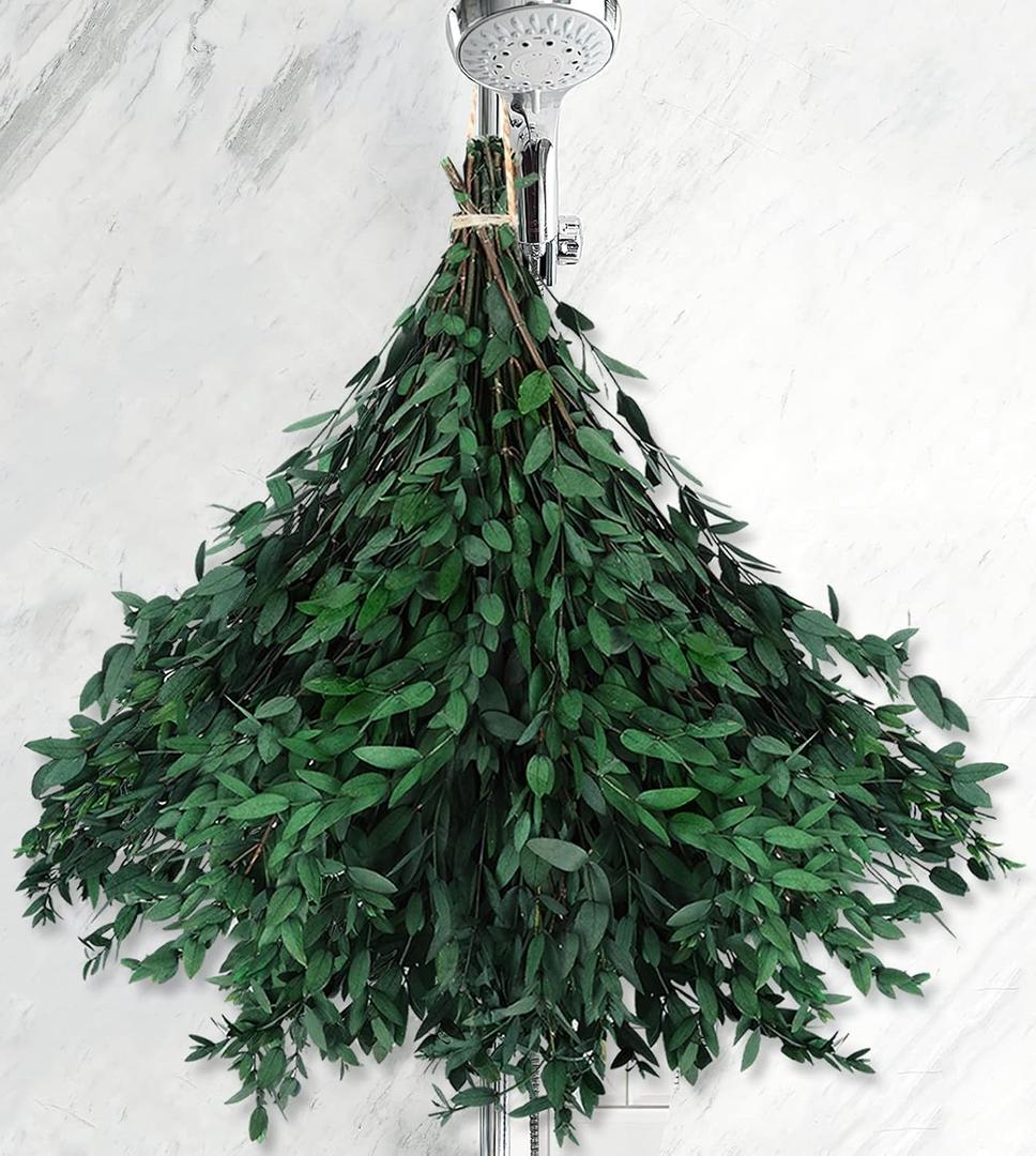Real Eucalyptus Stems - 15-25 PCS, 17'' 8OZ Preserved Fresh Eucalyptus Plant Live Green Leaves, Dry Branches Greenery Bundle for Wedding, Home Decor (Large)