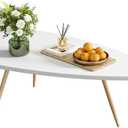 SAYGOER Modern Coffee Table White Oval Coffee Tables for Living Room Simple Center Table for Small Space Home Office Easy Assembly 22.2" D x 42.5" W x 17.1" H, White