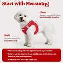 rabbitgoo Dog Harness Small Sized and Leash Set, Step in Soft Light Puppy Vest, Breathable Mesh Pet Harness, Reflective for Safe Easy Walking, Red S