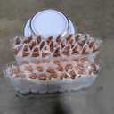 Goodluck 350 Piece Rose Gold Plastic Dinnerware Set for 50 Guests, Fancy Disposable Plates for Party, Include: 50 Dinner Plates, 50 Dessert Plates, 50 Pre Rolled Napkins with Silverware, 50 Cups