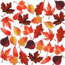 Yexiya 32 Pcs Fall Leaf Magnets Thanksgiving Car Magnets for Fridge Refrigerator Waterproof Autumn Decorations Gifts