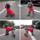 Lovelonglong Waterproof Fleece-Lined Winter Vest for Dogs Button Style Dog Warm Coats Red Large