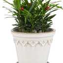 6.3 Inch Ceramic Planter, Plant Pot with Drainage Hole and Saucer, Decorative Glaze Flower Pot for Indoor Plants (White)